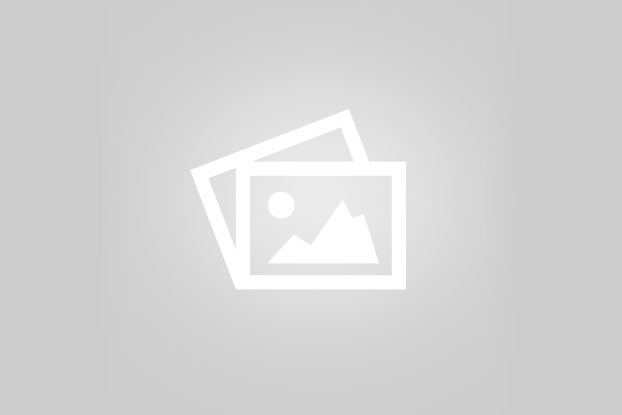 صادرات انواع میوه در بازرگانی مرادی